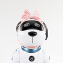 4.webp