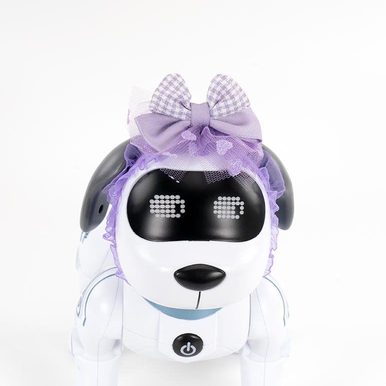 5.webp