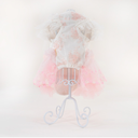 4.webp