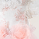 5.webp