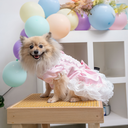 A7400805.webp
