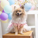 A7400777.webp