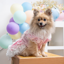 A7400789.webp