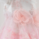 6.webp