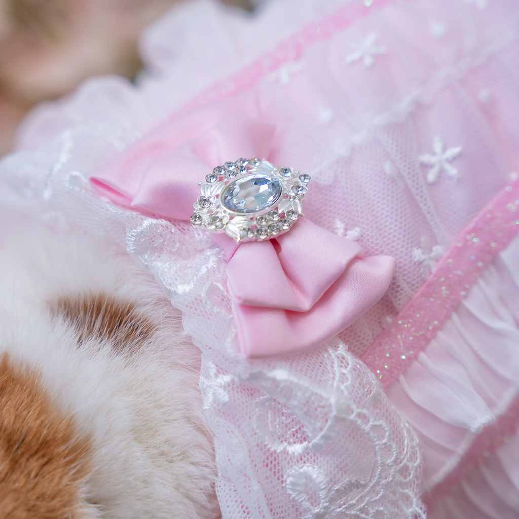 A7400336.webp