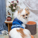DSC08305.webp
