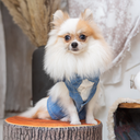 DSC08297.webp