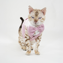 DSC00025.webp