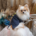 DSC08185.webp