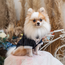 DSC08151.webp
