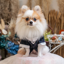 DSC08143.webp