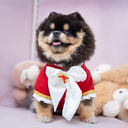A7400634.webp
