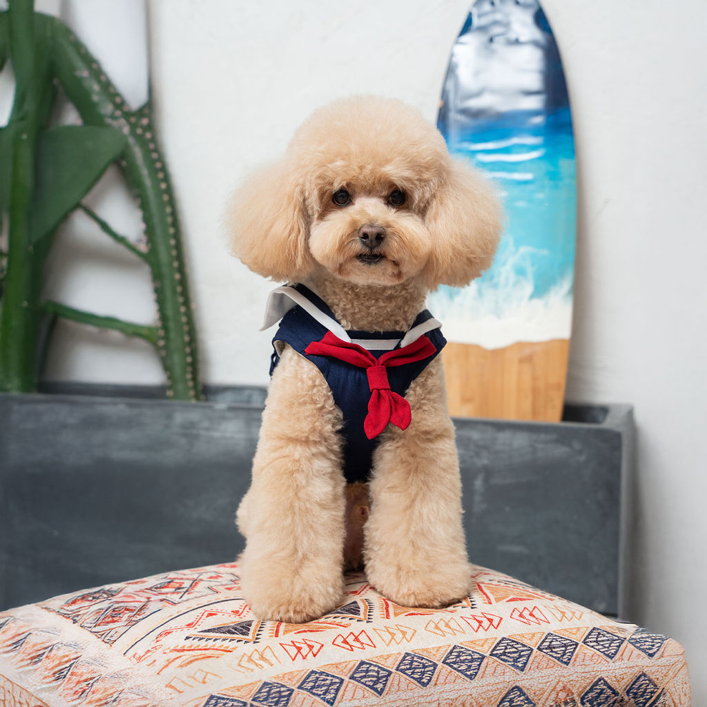 A7400044.webp