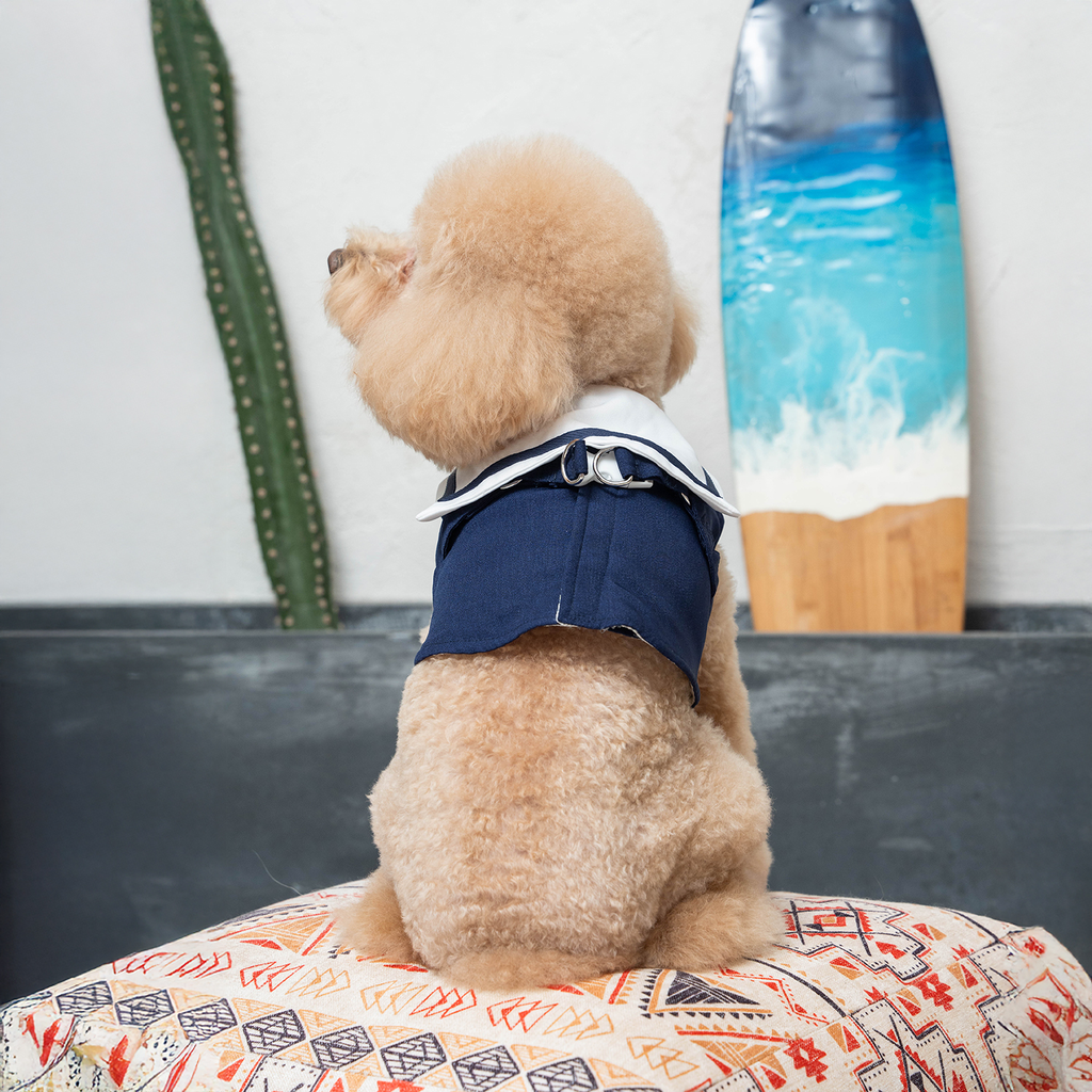 A7400064.webp