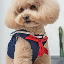 A7400068.webp