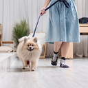 A7400625.webp