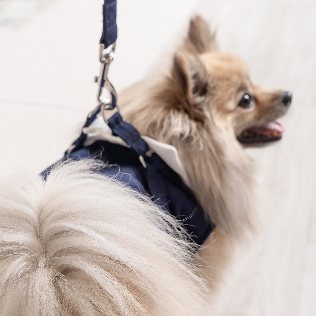 A7400629.webp