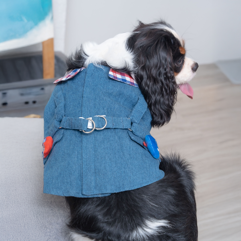A7400562.webp