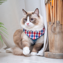 A7401157.webp