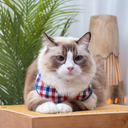 A7401141.webp