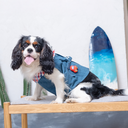 A7400554.webp