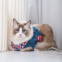 A7401165.webp