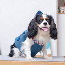 A7400540.webp