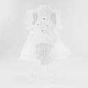 4.webp