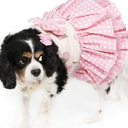 800x-1.webp