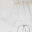 6.webp