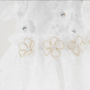 5.webp