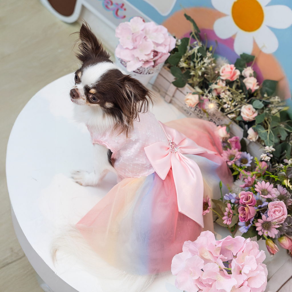 DSC08612.webp