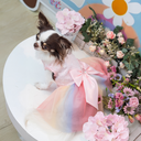 DSC08612.webp