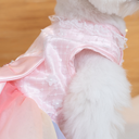 DSC08916.webp