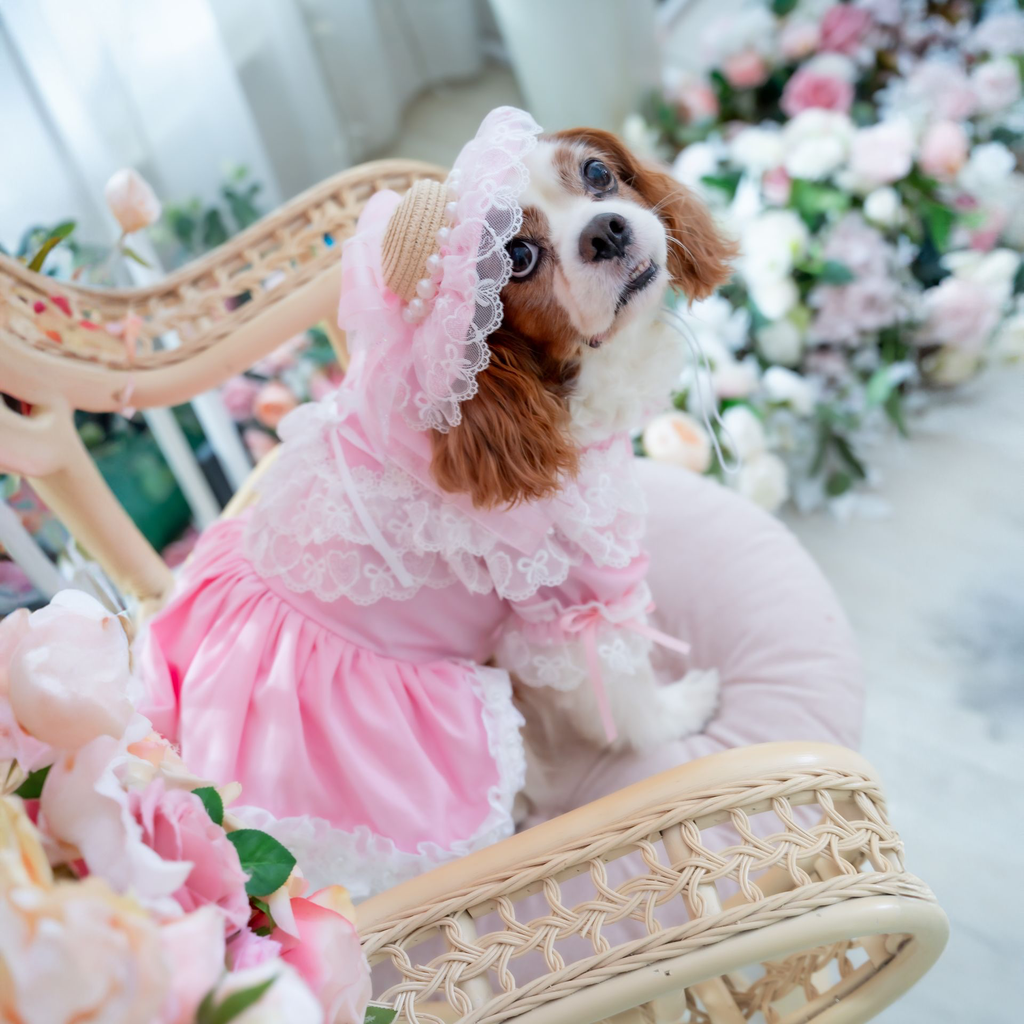 A7401693.webp