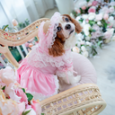 A7401693.webp