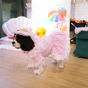 DSC00372.webp