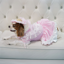 DSC01961.webp