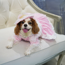 DSC01969.webp