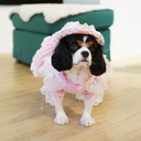 DSC00360.webp