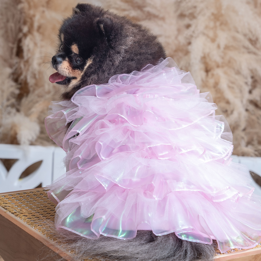 A7400649.webp