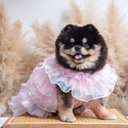 A7400636.webp