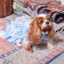 A7400449.webp