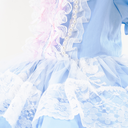 6.webp