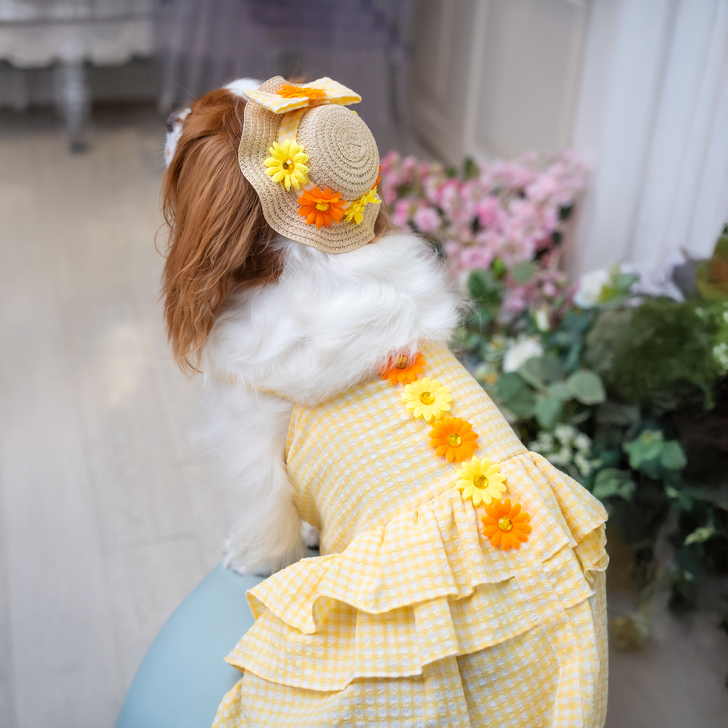 A7400276.webp