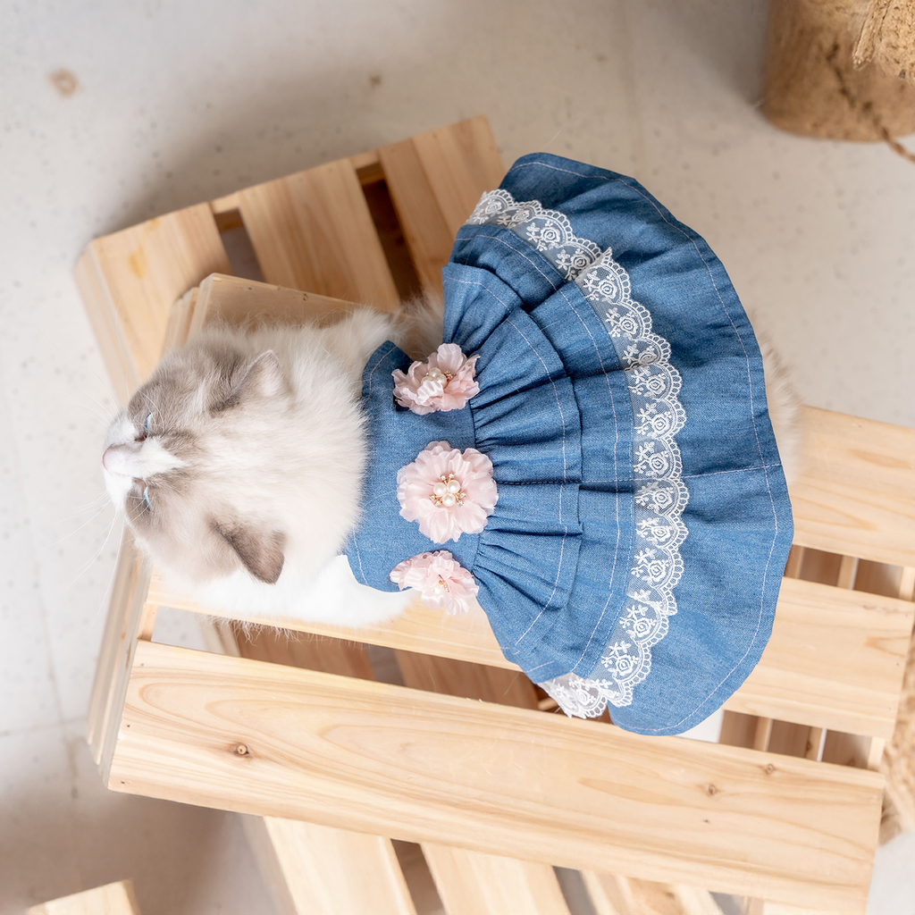 A7400189.webp