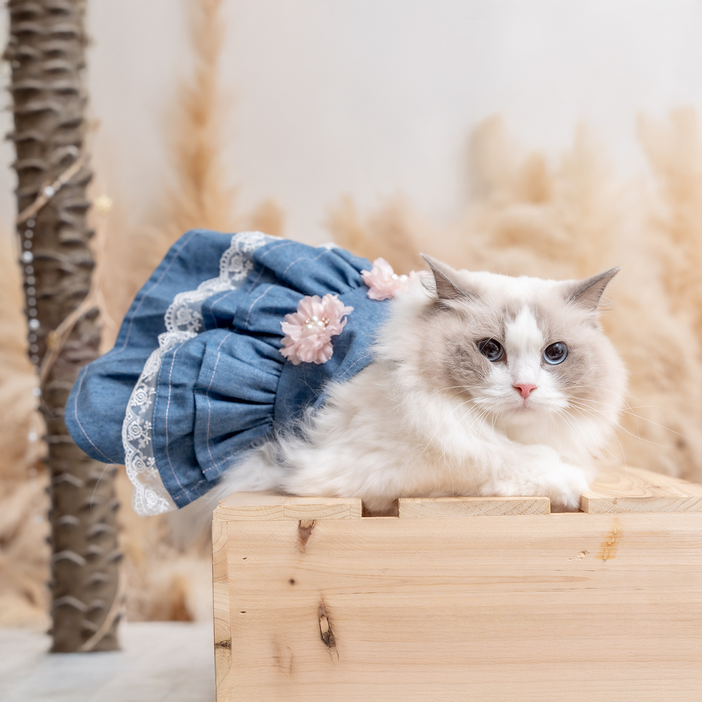A7400167.webp