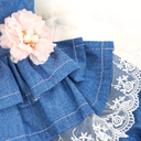 800x-1.webp