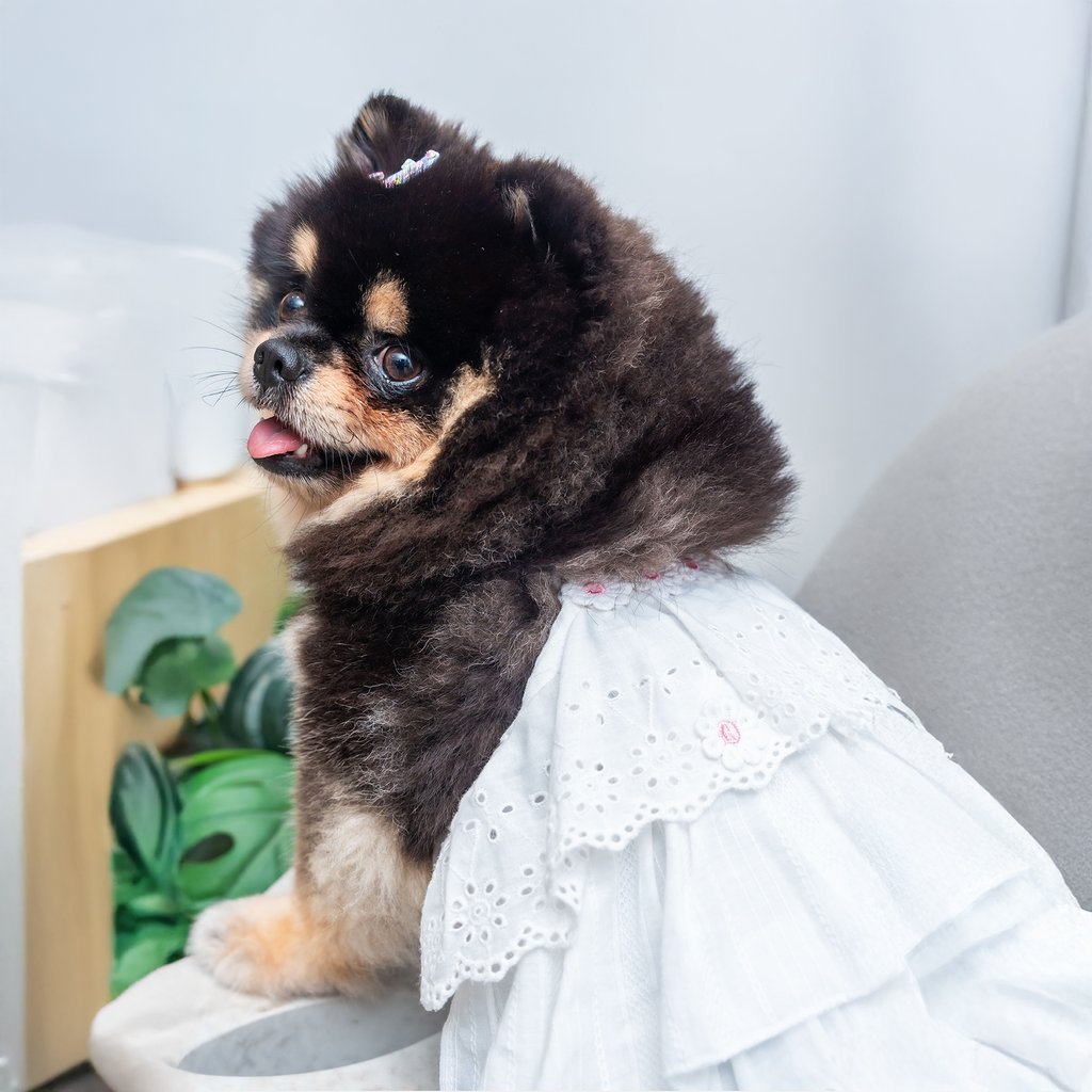 A7400355.webp