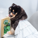 A7400355.webp